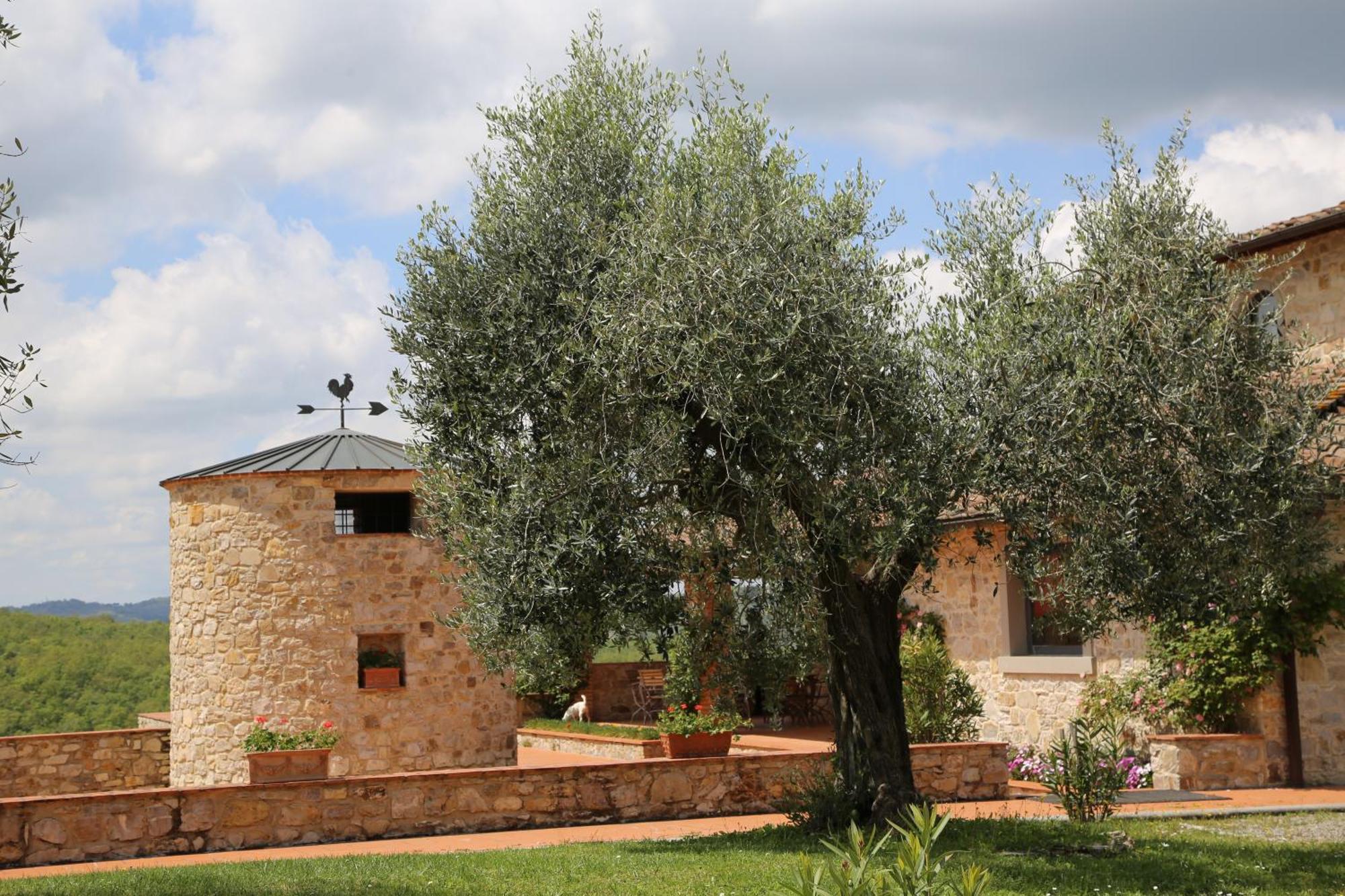 Colombaio Di Cencio Apartamento Gaiole in Chianti Exterior foto